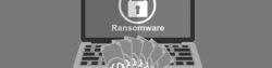 CUSTOM-MADE RANSOMWARE